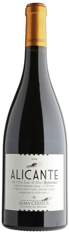 Bouteille Alicante by Alma Cersius — Alma Cersius