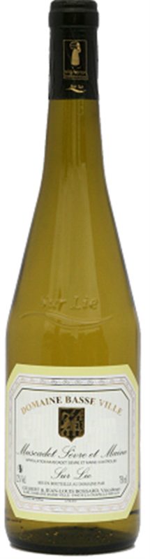 Bouteille Muscadet Sèvre et Maine Sur Lie — Domaine Basse-Ville
