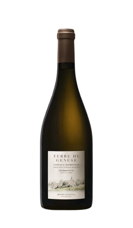 Bouteille TERRE DE GENESE - Coteaux Champenois - Jarre — Champagne Benoît Cocteaux