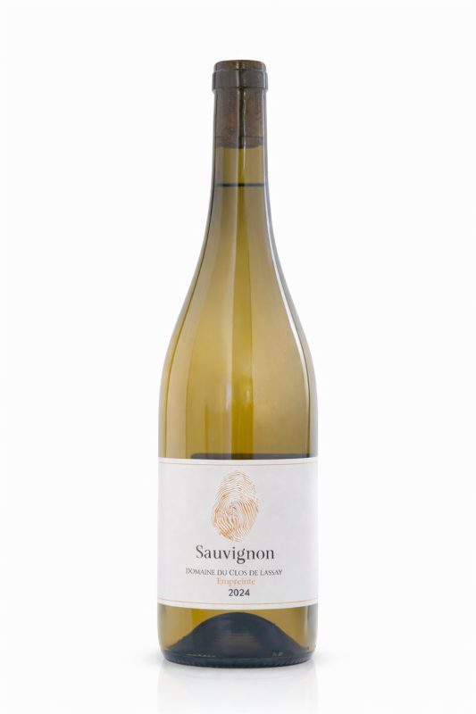 Bouteille Sauvignon — Domaine du Clos de Lassay