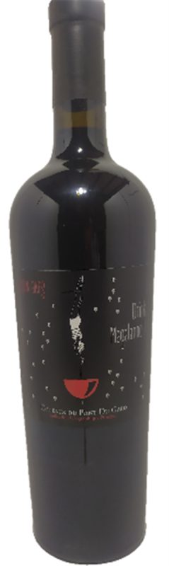 Bouteille Save Water.... Drink Magalanne — Domaine de Magalanne