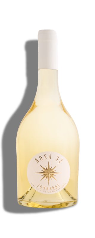 Bouteille Lombarde — Rosa 32