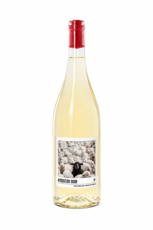 Bouteille Mouton Noir — Château Saint-Jean lez Durance