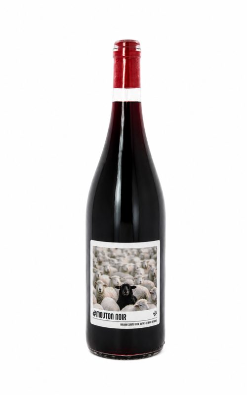 Bouteille Mouton Noir — Château Saint-Jean lez Durance